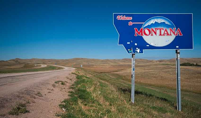 Montana Odds Montana Betting